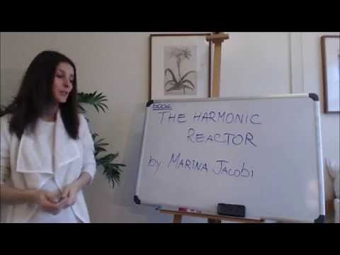 Marina Jacobi - The Harmonic Reactor