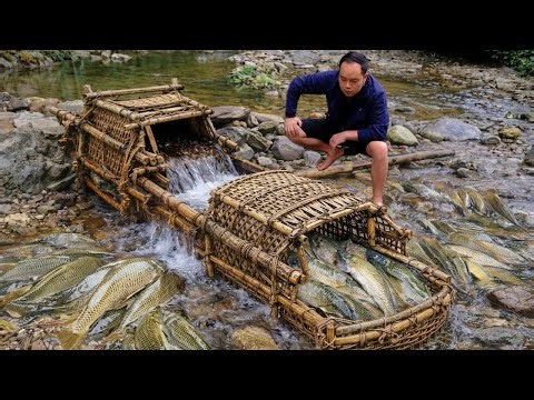 Primitive River Blocking Trap Catches Massive Fish Haul | Survival Fishing Skills