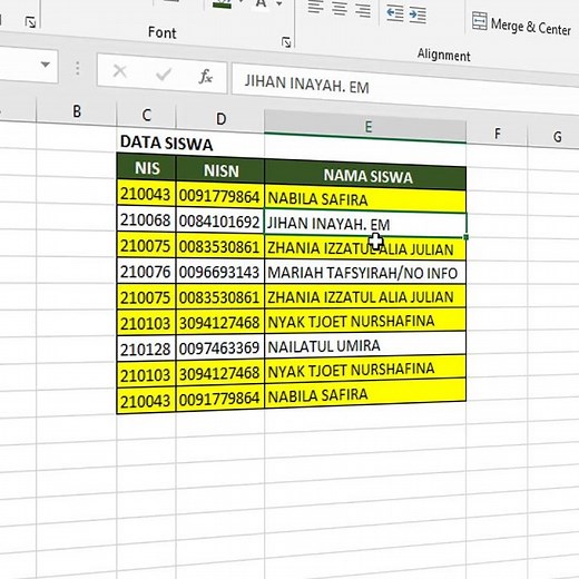 CARA HAPUS DATA GANDA DI EXCEL