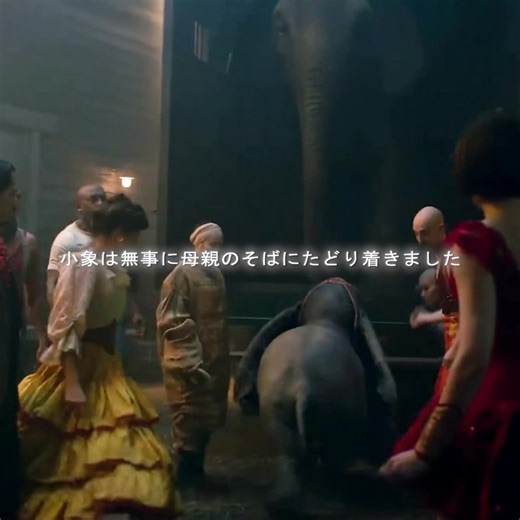 #映画解説 #映画紹介 #fyp #映画鑑賞 #japan