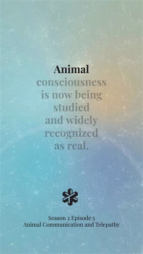 This week, we explore animal telepathy. From dogs who know when their person will return home, to a horse who comforts his rider through illness, to elephants who mourn across miles. If animals can speak without words… what else have we missed about consciousness? 🎧 @thetelepathytapes with @kydickens_pro Episode 5 | Animal Telepathy & Consciousness Tomorrow on all platforms. | The Telepathy Tapes