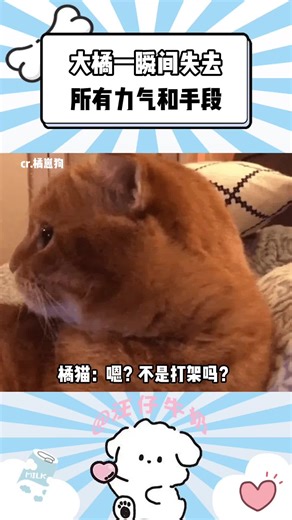 大橘一瞬间失去所有力气和手段#搞笑 #搞笑视频 #搞笑視頻 | Funny Video