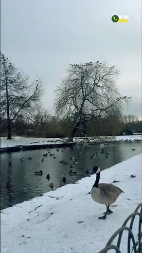 Manchester's Most Peaceful Park #alexandrapark #uk #nature #park #shorts