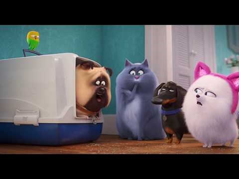 『ペット2』本編映像（ギジェットレッスン編）