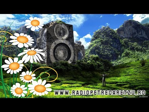 Radio Petrecaretzu LIVE Hore Sarbe Manele Populara Petrecere LIVE 2017