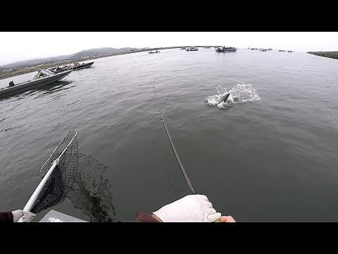Salmon Fishing in Gold Beach Oregon