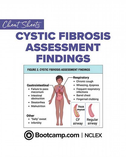 🫁 Cystic Fibrosis Assessment Findings for NCLEX | NCLEX Bootcamp Cheat Sheet
