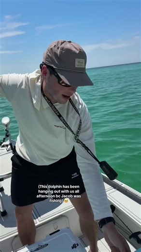 Dolphin core #oceananimals #dolphins #funnyanimals #fyp #animalslover | Dolphins In The Ocean