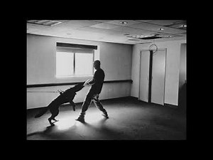 Terrain Vague | Trailer | Watch on TrueStory.film