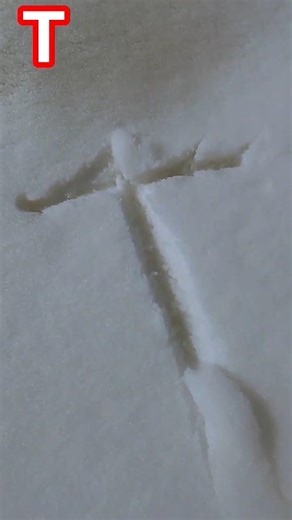 T name vle log kese hote hain#shorts