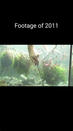 15K views · 448 reactions | 13 years ago I tried to set up my first...