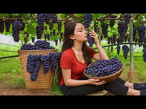 Harvesting Purple Grapes - Step-by-Step | The Craziest Dishes I've Ever Made - nails, Bananas & Tofu
