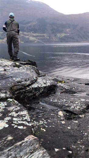 This place is perfect, but not only for Spey Casting. I’ve caught a few very nice seatrout here as well (between 70 and 75 cm long). #flycasting #arcticsilver_flyfishing #flyfishing #speycasting #flycastinginstruction #heidarvatn_iceland #singlespey | Mathias Lilleheim