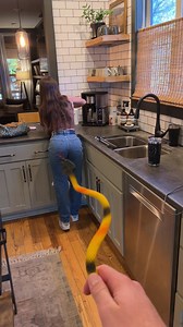 15K views · 100 reactions | Never do this to your wife! 藍 #funnyreels #funny #couplegoals #relationships #pranks #snake #husband #men #woman | Plot Twist Central | Facebook