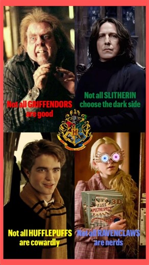 TitleNot All Hogwarts Houses Are What You Think 🧙‍♂️ | Breaking Stereotypes HarryPotter harrypotter