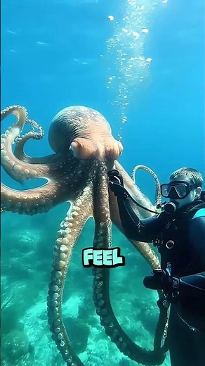 Octopus Secrets You Won’t Believe 🐙 | 3 Hearts, Blue Blood, Ink Defense & Deadly Blue Ringed Octopus