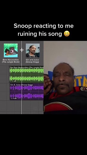 From confusion to acceptance @Snoop Dogg #mashup #ginandjuice #barenecessities #90skids