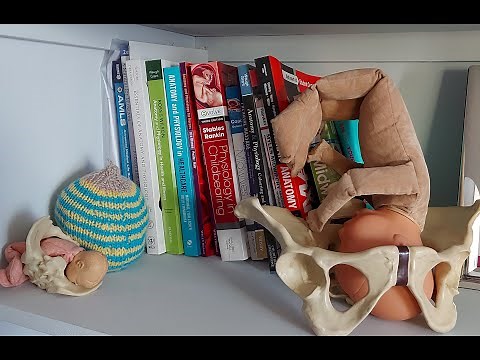 Back to Basics fetal heart rate physiology & CTG a short guide