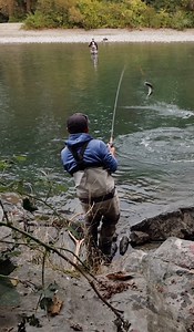 19K views · 184 reactions | The coho leap!  Check out my latest coho salmon episode on my YouTube channel. https://youtu.be/WA4GwokcM2Y?si=l2z5GCfHUnPaa3Im #cohosalmon #coho #salmon #salmonfishing #fishing #bcfishing #fishingbc #gofishbc #fishbc #fishshimano #fishseaguar #fishgloomis #thewaytofish #explorebc #explorechilliwack #outdoors #nature #adventure #fishingwithrod | Fishing with Rod | Facebook