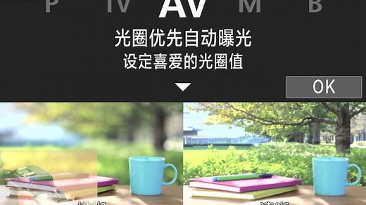 佳能EOS 6D MARK II相机操作说明 使用说明