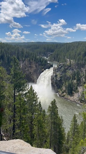 Randall Greene on Reels