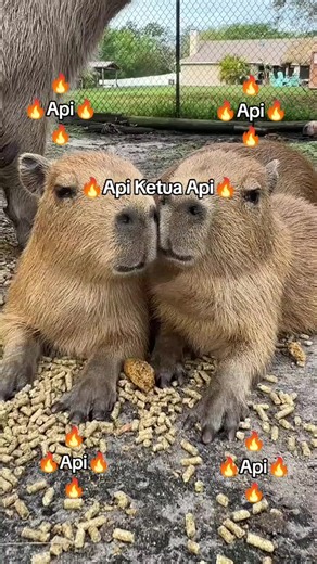 Juara Api: Ngingetin Semangat Selalu