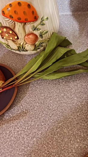 Ready to stank it up with my soup beans, cornbread, and wild ramp supper. 🌱 #appalachia #soupbeans #cornbread #ramps #food | Appalachian Forager