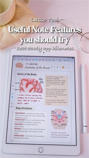 Transform Your Study Routine with Kilonotes Lasso Tool Features