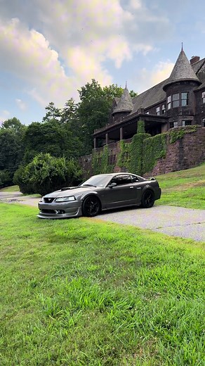 Aura Farming with Mustang GT Adventures