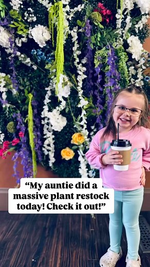 MASSIVE PLANT RESTOCK!! 🌱 | The Flower Bar