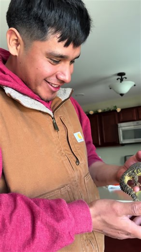 He barged through the front door yelling WHERE IS MY BOX hello to you too HUSBAND #aslan #petsoftiktok #petlovers #catsoftiktok