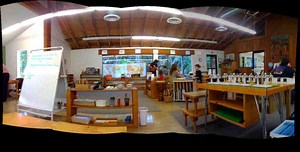 Understanding Modifications and Accommodations for the Learning Disabled