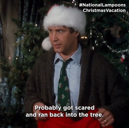 A wholesome Christmas… gone wrong 🫣🎄 Watch this hilarious clip from NATIONAL LAMPOON'S CHRISTMAS VACATION! | Warner Bros. Pictures