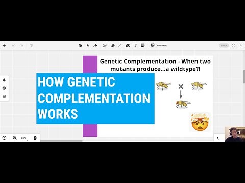 How two mutant parents produce normal offspring - Complementation Testing / Genetic Complementation