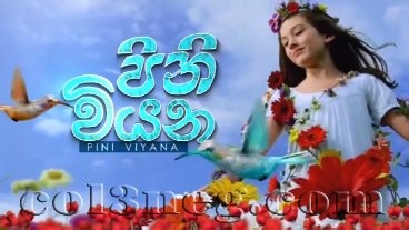 Pini Viyana 23-10-2025 - Col3neg