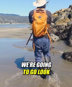 108K views · 2K reactions | How To Fillet Eel For Sushi!  | Outdoor Chef Life | Facebook