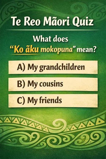 Te Reo Māori Quiz: What Does 'Ko āku mokopuna' Mean?