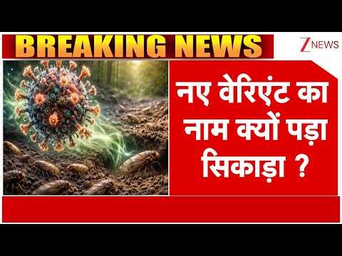 BA.2 Corona New Variant: नए वेरिएंट का नाम क्यों पड़ा सिकाड़ा ? | Breaking news | India | Latest news