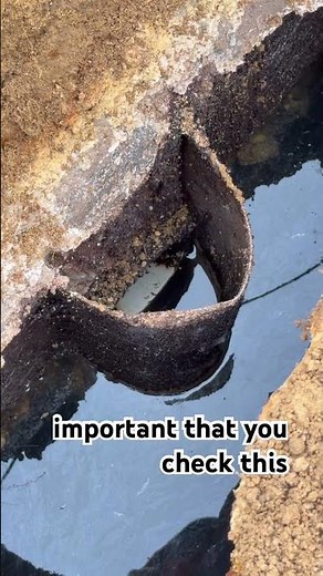 This Can Destroy Your Drain Field