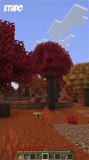 NEW Autumn Minecraft Biome