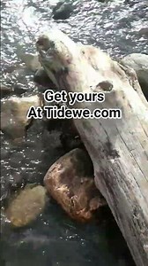 Waterproof boots from Tidewe #nature #wildlife #hiking