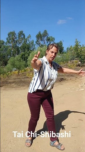 Tai Chi Shibashi
