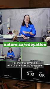 🧑‍🏫🌿 Bring the wonders of nature to your classroom! 🌿🧑‍🏫 Spark curiosity and excitement with our in-person or virtual workshops! Designed for students from kindergarten to grade 7, our sessions cover exciting themes like rock formation, food chains, habitats, and more. Book your workshop today and let’s explore the wonders of nature together! www.nature.ca/education Thank you to the TD Friends of the Environment Foundation for generously supporting school programming at the Canadian Museum