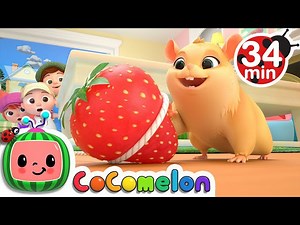 Lost Hamster   More Nursery Rhymes & Kids Songs - CoComelon - Videos For Kids