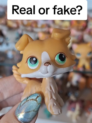 How to Tell If Your Littlest Pet Shop (LPS) Is Real or Fake
