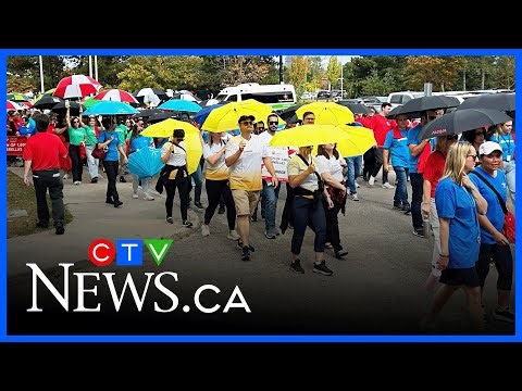 Colourful umbrellas take over Kitchener and Waterloo streets