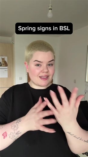 Lingvano | Learn Sign Language on Instagram: "Spring is signing in! ⁠ Let’s learn some cheerful BSL signs to welcome the season! ☀️⁠ What’s your favorite sign for spring?⁠ ⁠ Image Description:⁠ A person with short blonde buzzcut hair is wearing a black sweater. In the background, there are white walls, a door, and a visible shelf.⁠ ⁠ #BSL #SpringVibes #LearnBSL #SignLanguageFun #AccessibleCommunication #BritishSignLanguage #BSL⁠ ⁠"