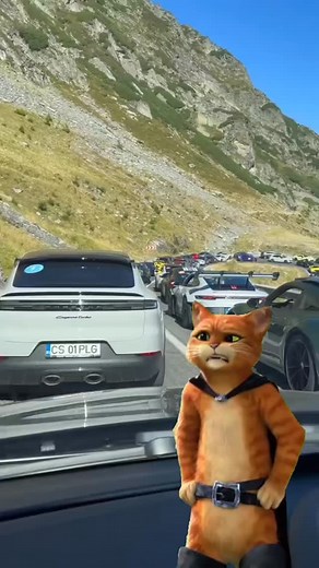 Gas Blender on Reels