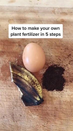 DIY Plant Fertilizer: 5 Steps for Faster Growth!
