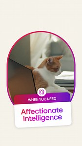 Life is full of surprises. With LG gram Time Travel, we've got your back - taking you back in time. #LGAI #AffectionateIntelligence #LifesGood | LG Global